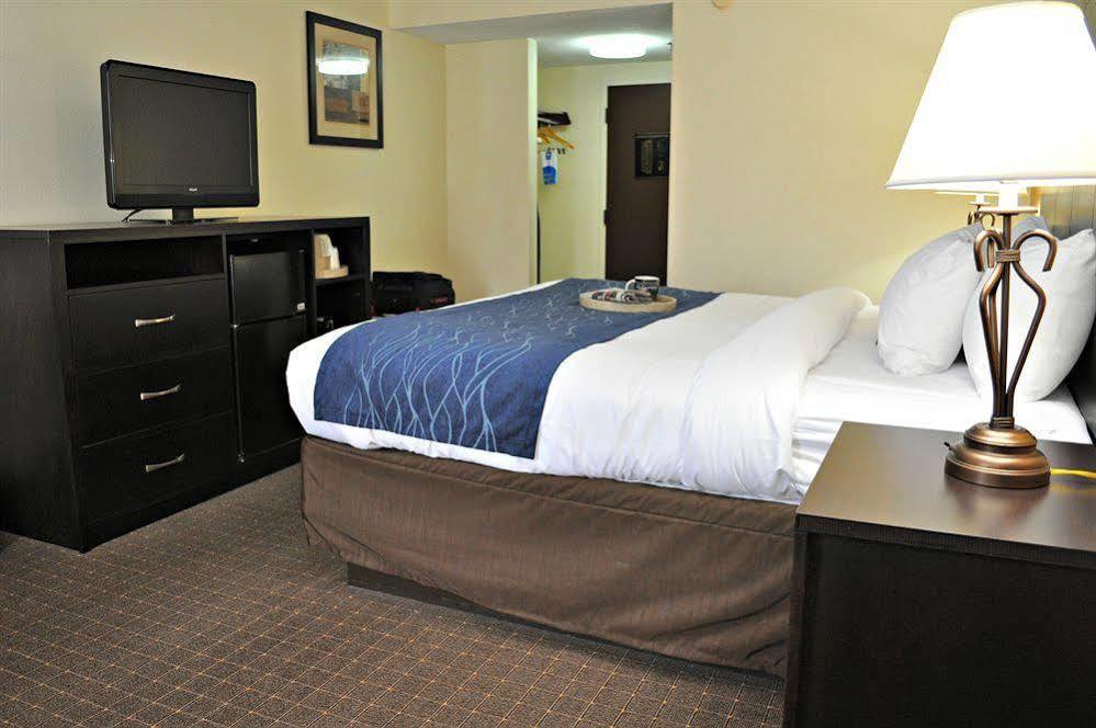 Comfort Inn Oak Ridge - Knoxville Exterior photo